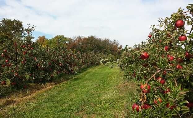 Grupos de desarrollo Rural