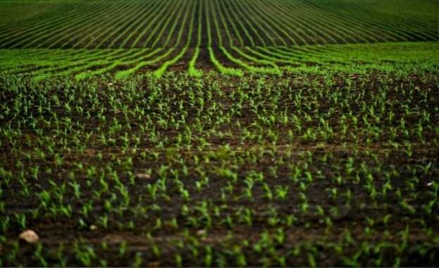 Industria Agroalimentaria