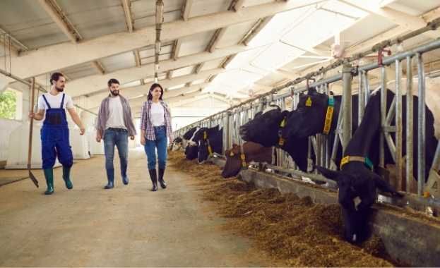 Industrias Cárnicas