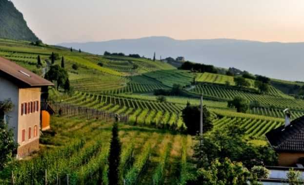 Informes Periciales y Valoraciones